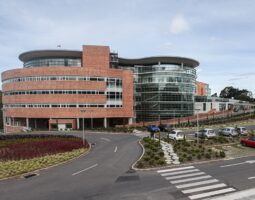 Hospital Sanvicente Fundacion